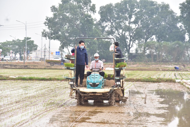 Bí[-]thư[-]và[-]Chủ[-]tịch[-]TP[-]Hà[-]Nội[-]xuống[-]đồng[-]cấy[-]lúa,[-]động[-]viên[-]nông[-]dân